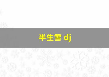 半生雪 dj